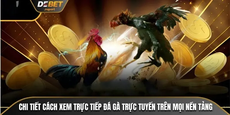 Cách Xem Trực Tiếp Đá Gà Trực Tuyến Cực Dễ Dàng Tại Debet 3 Chi tiết cách xem trực tiếp đá gà trực tuyến trên mọi nền tảng